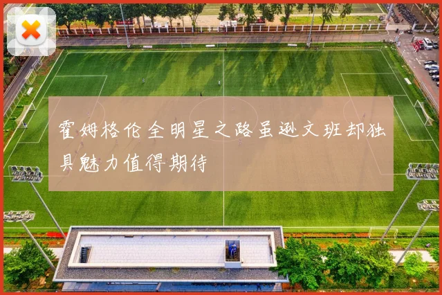 霍姆格伦全明星之路虽逊文班却独具魅力值得期待