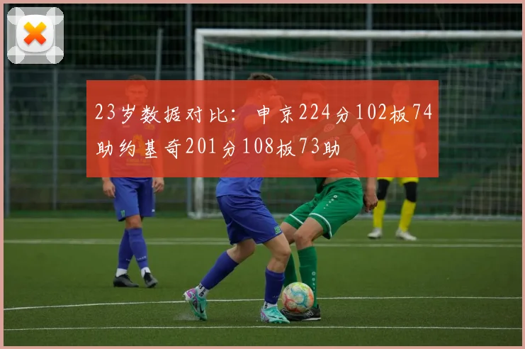 23岁数据对比：申京224分102板74助约基奇201分108板73助