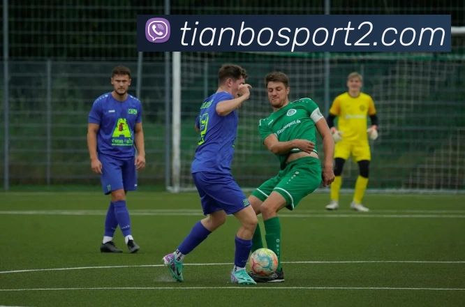 天博足球平台生态图